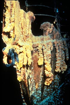 La prua ornata di "rusticles".