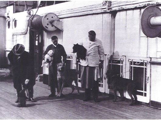 Cani sul TITANIC.